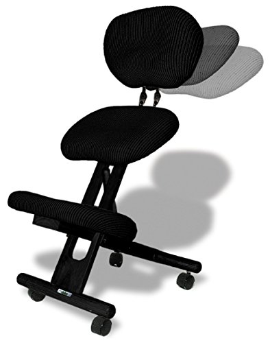 cinius Chaise Ergonomique Professionnelle avec Dossier, Couleur Noir