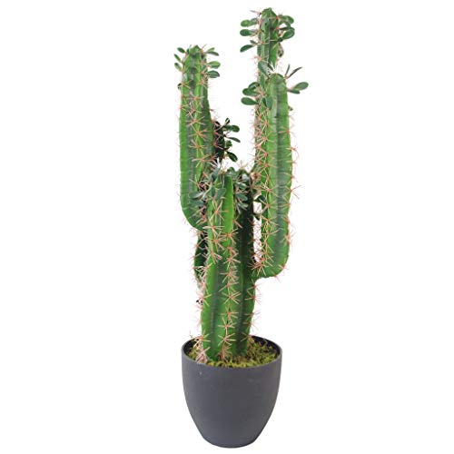 Leaf Cactus Artificiel avec Pot 75 cm